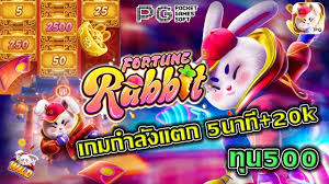 fortune rabbite